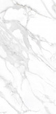 ARCTIC серый глянец 071/L 60x120 пол