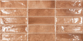 Ec.Pool Cotto 31.6х60 стена