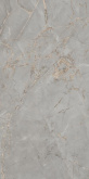 Грес GOLDEN WEB GREY 60х120 пол