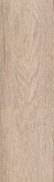 CASTAGNA коричневый светлый 031 14.8х60 пол