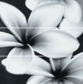 Декор панно PRET-A-PORTER BLACK FLOWER COMPOSITION декор3 75X75