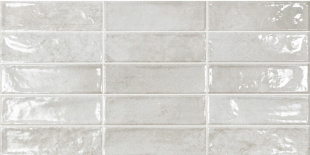 Ec.Pool Grey 31.6х60 стена