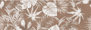 Ng Liya Brown B 30x90 стена