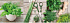 Lakewood Greenline 2 Szklany 20x60 декор