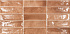 Ec.Pool Cotto 31.6х60 стена