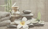 DEC OLIVIA GREY SPA1 декор 250x400x8