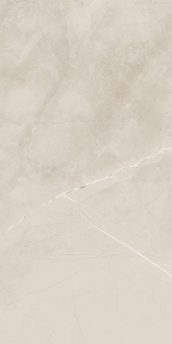 Грес SALONE 021/L 60x120 пол