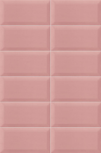 Plus Bissel Pink 10x20 стена