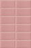 Plus Bissel Pink 10x20 стена
